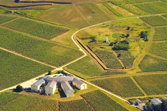 A Villányi borvidék Magyarország egyik legfejlettebb bortermő vidéke